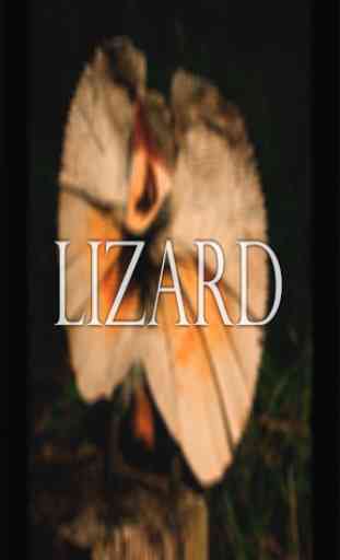 Lizard Wallpaper HD Complete 1