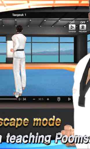 Taekwondo Poomsae Master 3