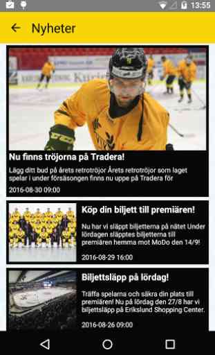 VIK Hockey 2