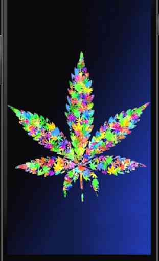 Weed Live Wallpapers 2