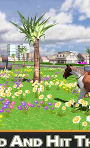 Wild Pony Horse Simulator 2016 3