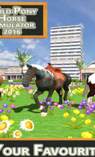 Wild Pony Horse Simulator 2016 4