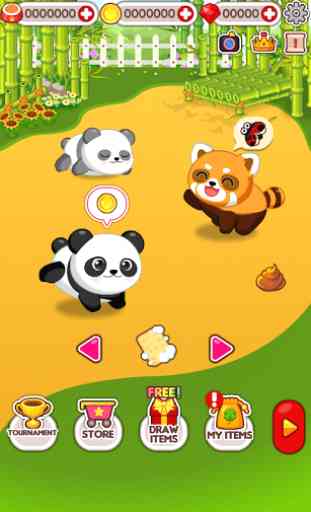 Animal Judy: Panda care 3