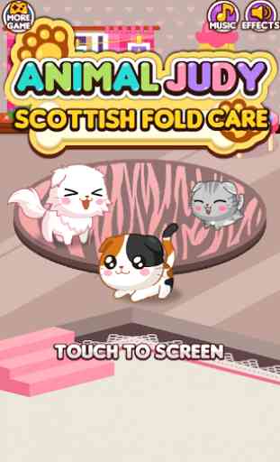 Animal Judy: ScottishFold care 1