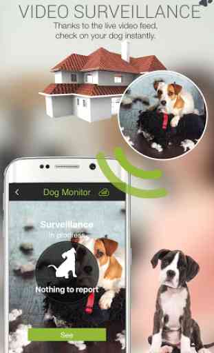 Dog Monitor 2