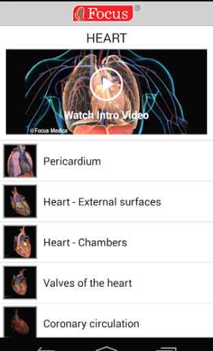 HEART - Digital Anatomy Atlas 2