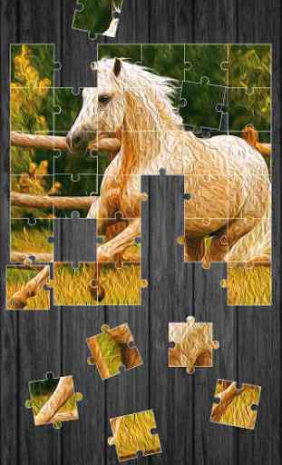 Horses Jigsaw Puzzle Game 3