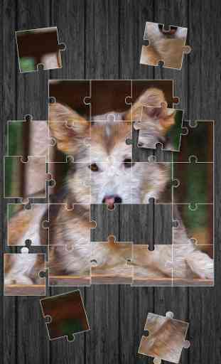 Pets Jigsaw Puzzle Game 4
