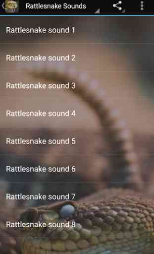 Rattlesnake Sounds 1