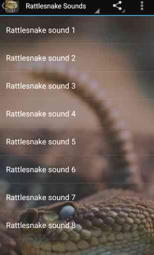 Rattlesnake Sounds 2