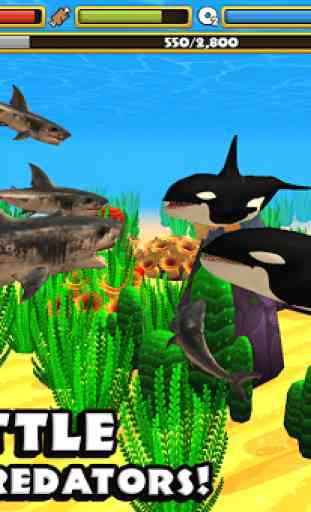 Wildlife Simulator: Shark 3