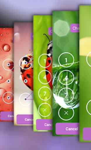 App Locker Ladybug Theme 4