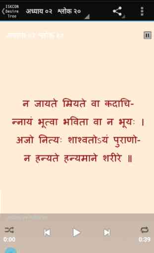 Bhagavad Gita 108 Sloka Hindi 2