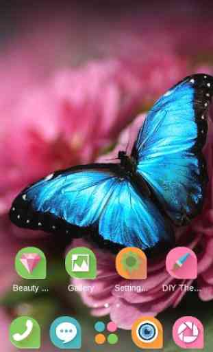 Flower and Butterfly Theme 4