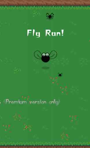 Fly Run! Lite 1