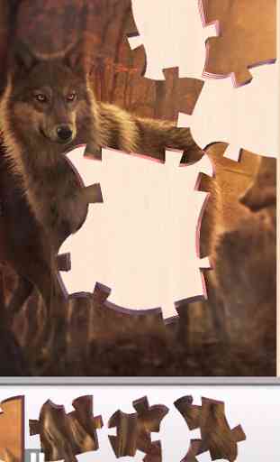 Jigsaw Puzzles Wolves 2