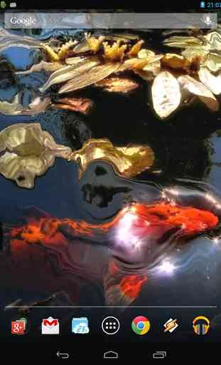 Koi Fish in the Pond 2