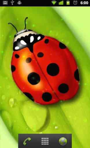ladybug live wallpaper 2