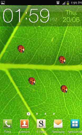 Ladybugs Live Wallpaper 1