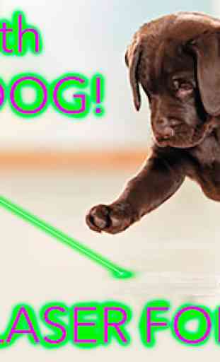 Laser for Dogs Simulator Joke 2