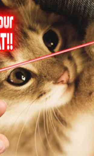 Laser Pointer: Cat Edition 2