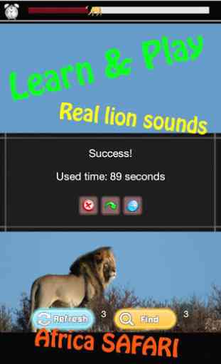 Lion Games for Kids Free 3