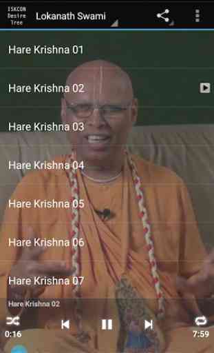 Lokanath Swami Hare Krishna 2