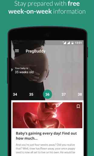 Pregnancy Week by Week Tracker 1
