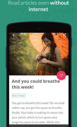 Pregnancy Week by Week Tracker 4