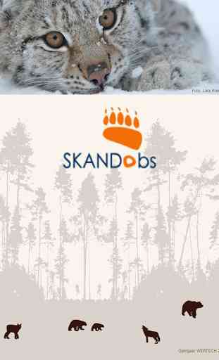Skandobs Touch 2