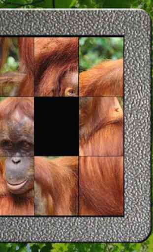 Slide Puzzle Borneo Animals 1
