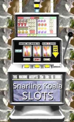 Snarling Koala Slots - Free 1