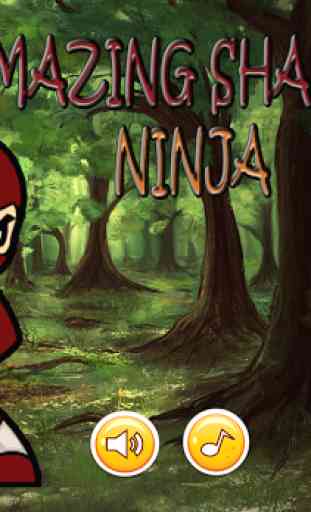 Amazing Shadow Ninja 4