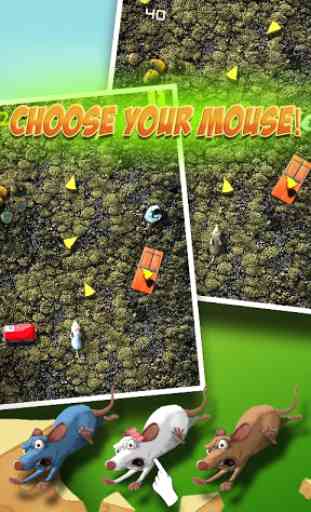 Angry Mouse Maze Scramble 2