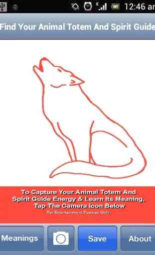 Animal Totem & Spirit Guide 3