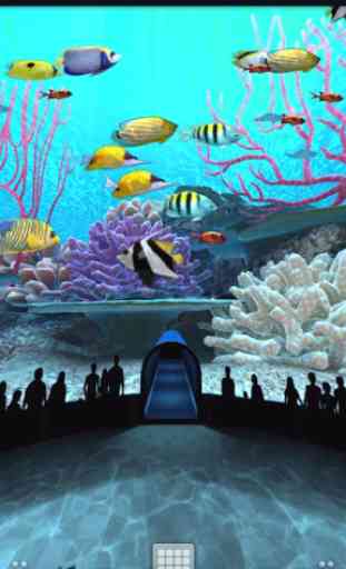 Coral Reefs World 2