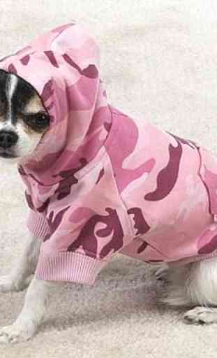Cute Pet Clothing Ideas 2