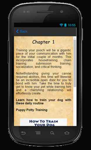 How To Train Your Dog Guide 3