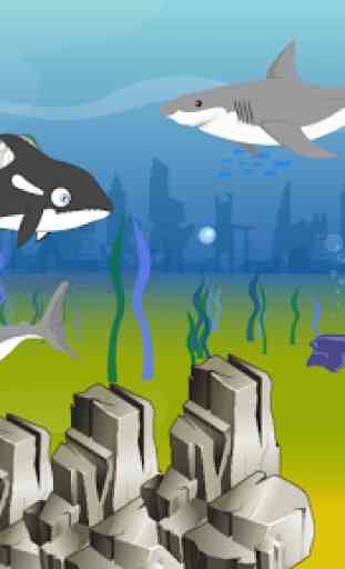 Killer Whale Shark Attack 2