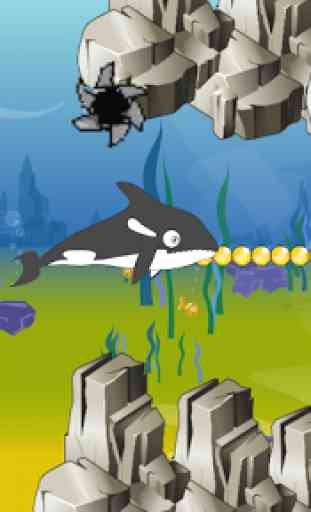 Killer Whale Shark Attack 3