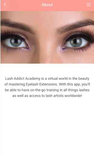 Lash Addict Academy 2