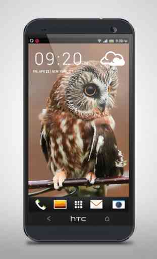 Mysterious Owl Live Wallpaper 1