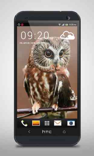 Mysterious Owl Live Wallpaper 2