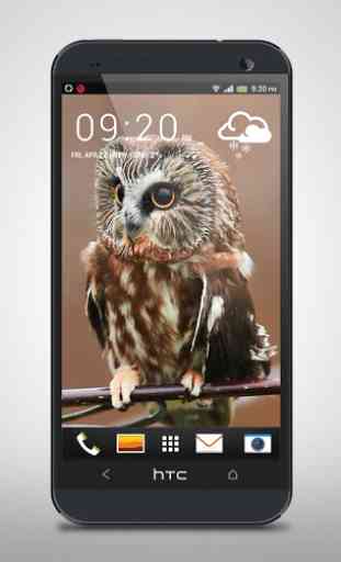 Mysterious Owl Live Wallpaper 3