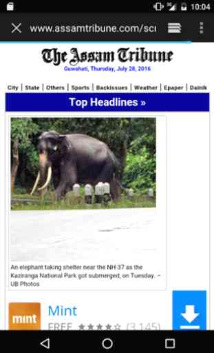 News Portal Assam 2