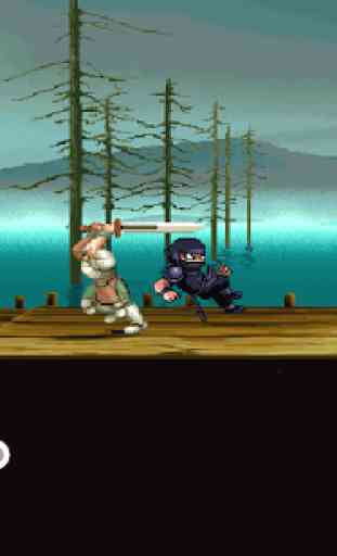 Ninja Fight 2