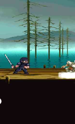 Ninja Fight 3