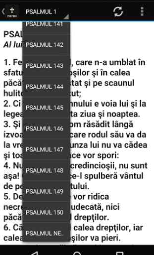 Psaltirea Ortodoxa 3