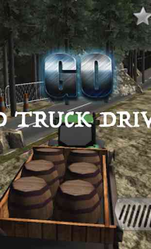 3D Truck Driver 1