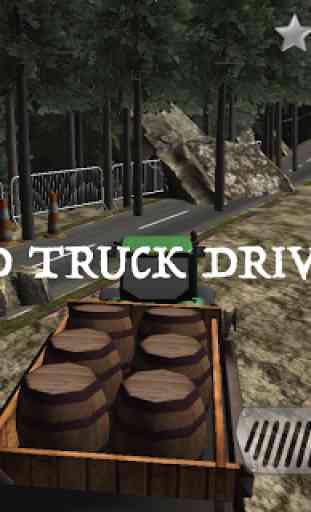 3D Truck Driver 3